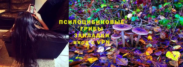 первитин Новозыбков