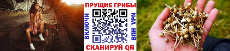 где купить наркоту  Остров  Галлюциногенные грибы мухоморы 